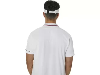 GRAFISCH VIZIER