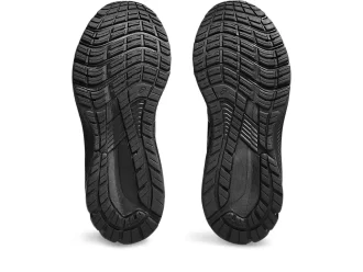 GT-1000 12 BREED GETEST OP DE WEG