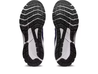 GT-1000 12 BREED GETEST OP DE WEG
